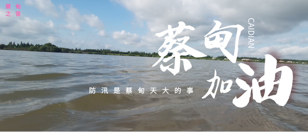 蔡甸區(qū)啟動(dòng)防汛ⅰ級(jí)應(yīng)急響應(yīng)，做好鋪土釘防汛木樁工作