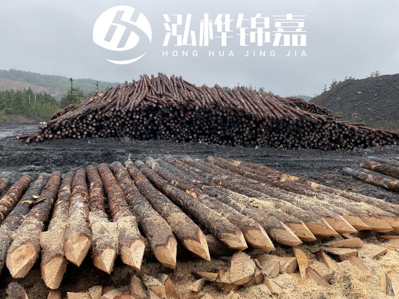 6米長(zhǎng)松木樁有哪些作用，多少錢一根？