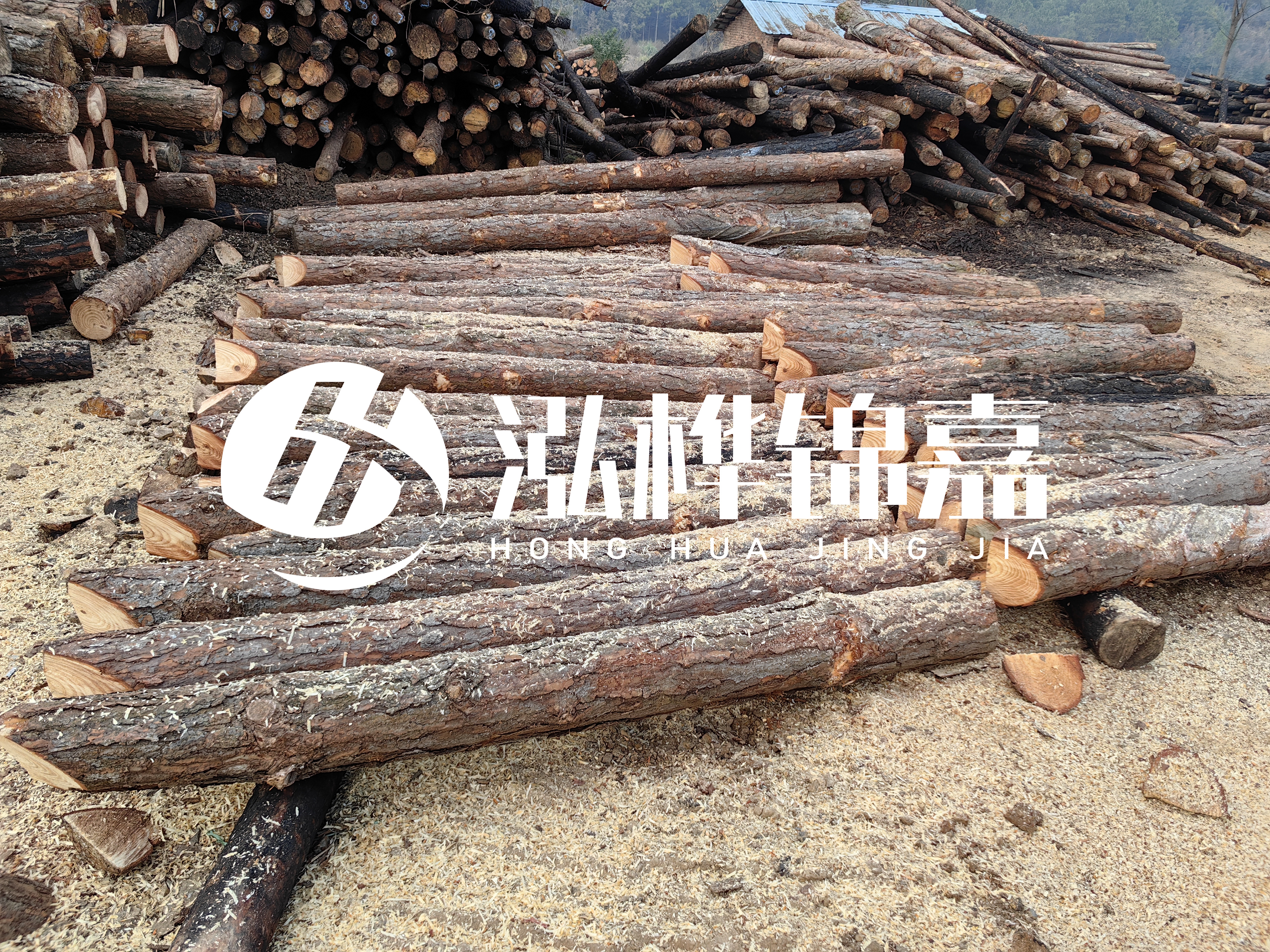 河道打樁木重復(fù)利用嗎？