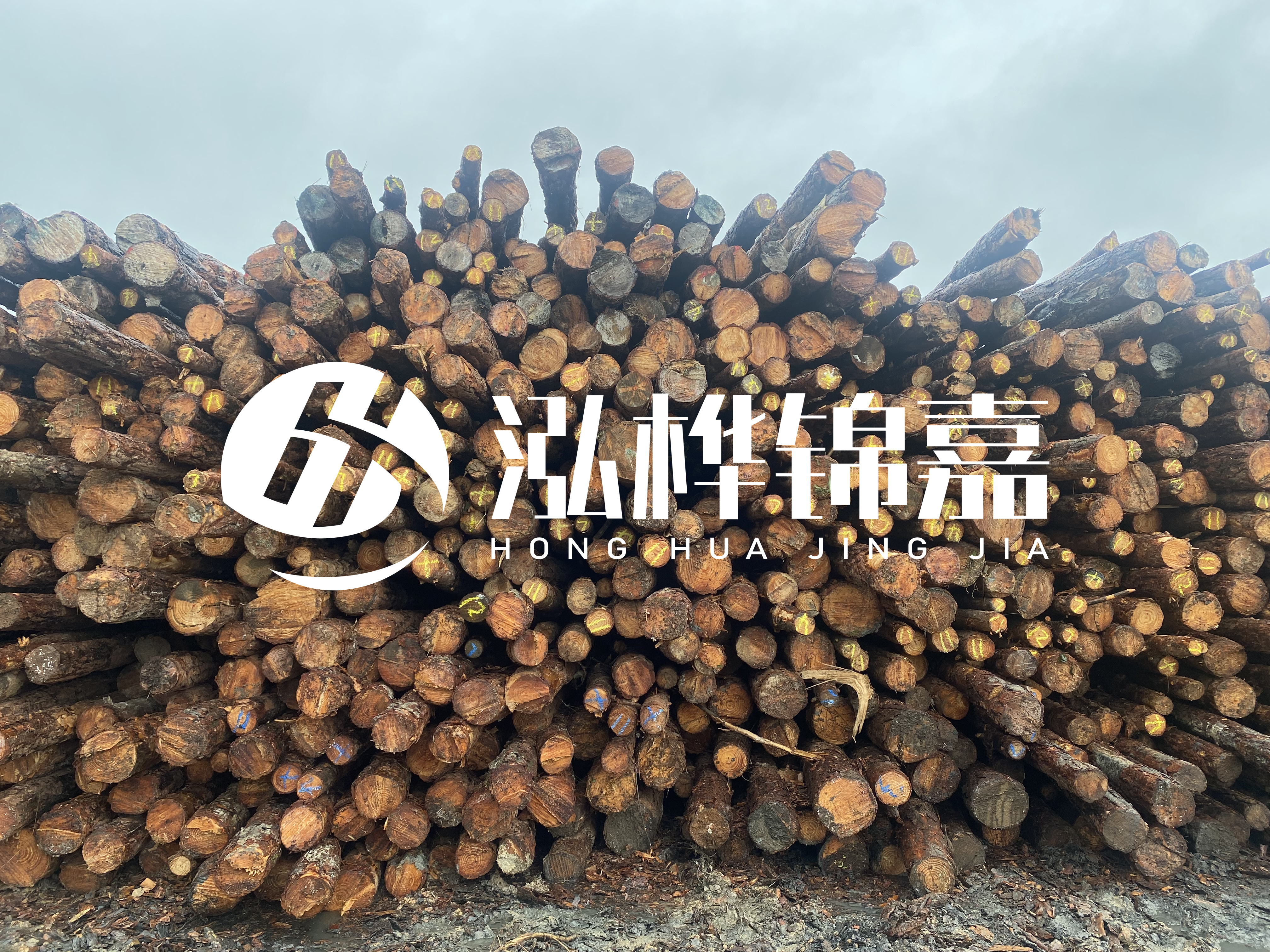 松木樁的直徑一般取多少？