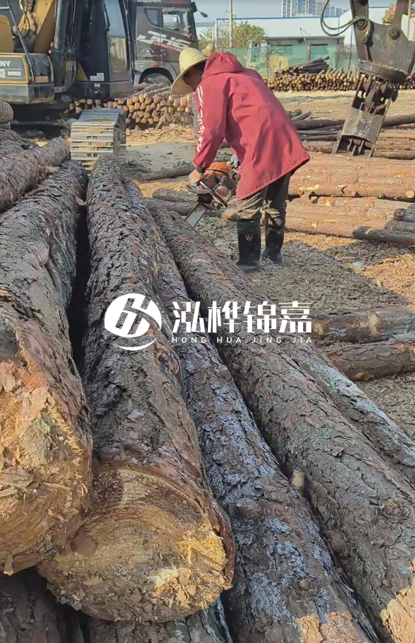 長(zhǎng)沙打樁木批發(fā)廠家在哪里？聯(lián)系方式是什么？