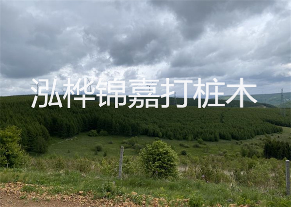 松木樁能重復(fù)施工么？