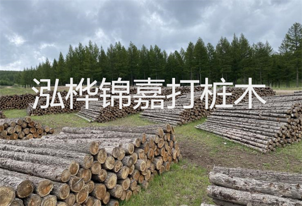 預(yù)制松木樁施工工藝：優(yōu)質(zhì)材料，高效快速，堅(jiān)固耐用