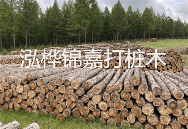 松木樁能施工嗎？探究視頻揭秘真相！