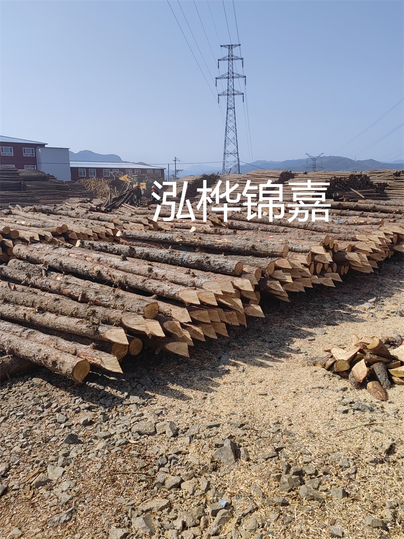 深入了解松木樁基礎(chǔ)施工單價(jià)，助力工程建設(shè)順利進(jìn)行！