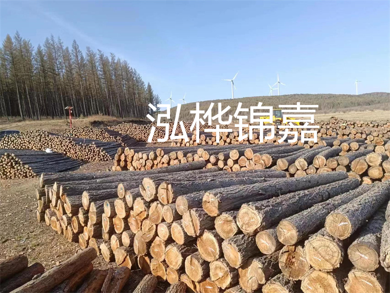 用路基松木樁施工方案提升工程質(zhì)量描述：了解路基松木樁施工方案的重要性，提高工程質(zhì)量關(guān)鍵詞：路基松木樁，施工方案，工程質(zhì)量